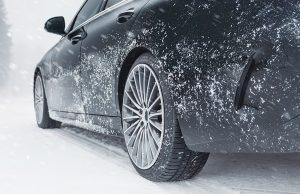 Petlas Snowmaster 2 Sport 3