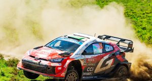 Kenya Safari Rallisi