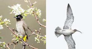 Doğaya Kanat Açtık