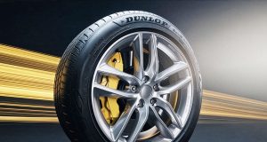 Dunlop Blue Response TG